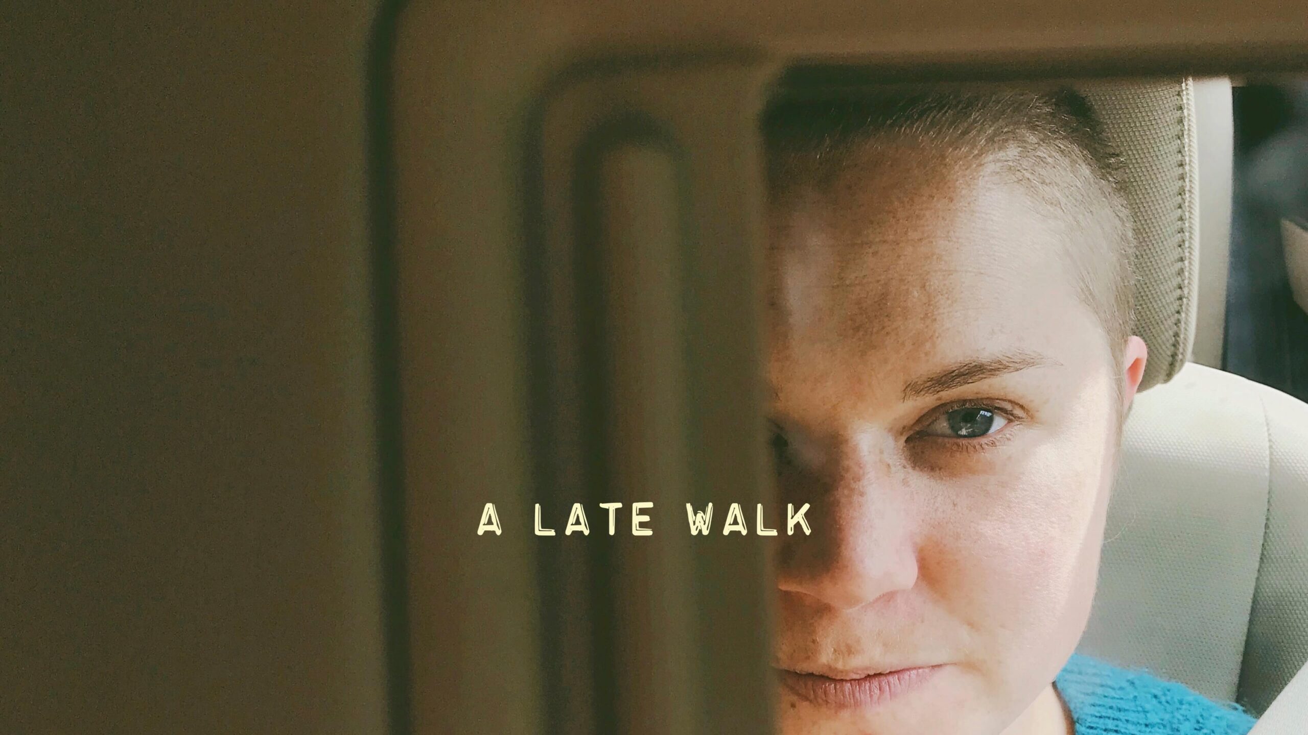 A Late Walk Plate Spinner Productions